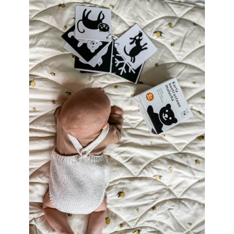 Karty kontrastowe malucha (0+ mies.)