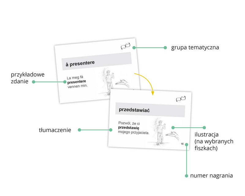 Fiszki PLUS. Norweski dla początkujących
