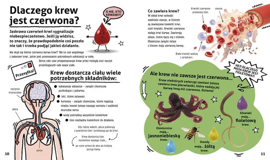 Mam pytanie. Dlaczego gałki oczne nie wypadają? Oraz wiele innych pytań o Ciało Człowieka Opracowanie zbiorowe