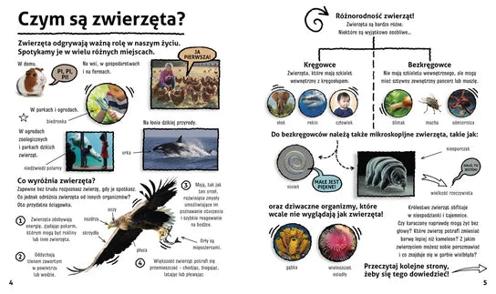 Mam pytanie. Dlaczego pingwiny nie latają? Oraz wiele innych pytań o Zwierzęta Opracowanie zbiorowe