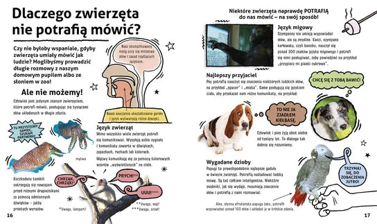 Mam pytanie. Dlaczego pingwiny nie latają? Oraz wiele innych pytań o Zwierzęta Opracowanie zbiorowe