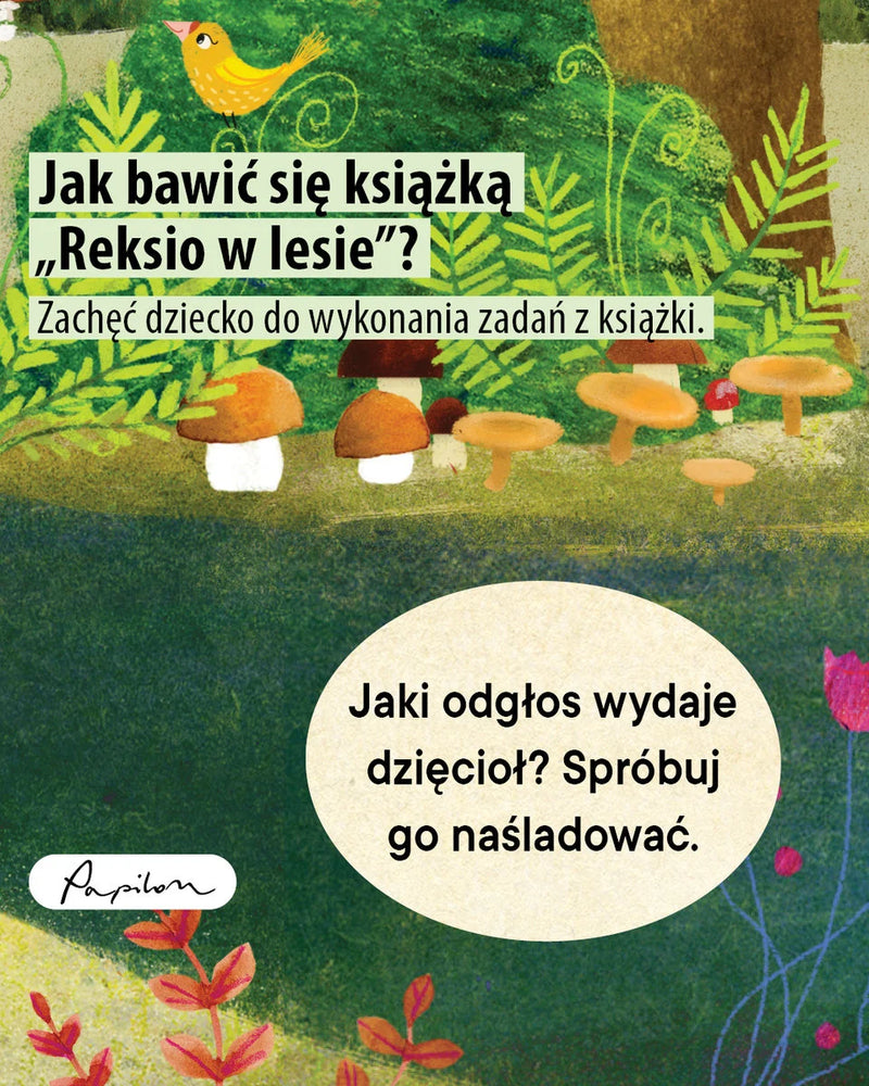 Reksio w lesie. Książka z okienkami