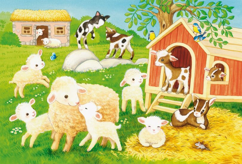 Schmidt 3x24 - Denitza Gruber, My farmyard friends