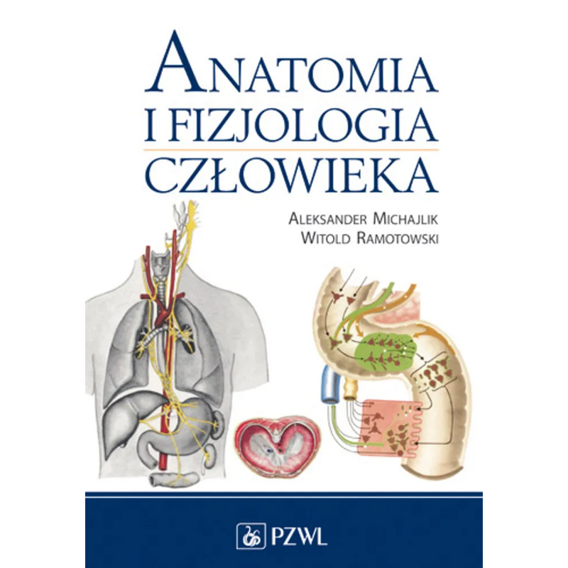 Anatomia i fizjologia człowieka - Aleksander Michajlik, Witold Ramotowski