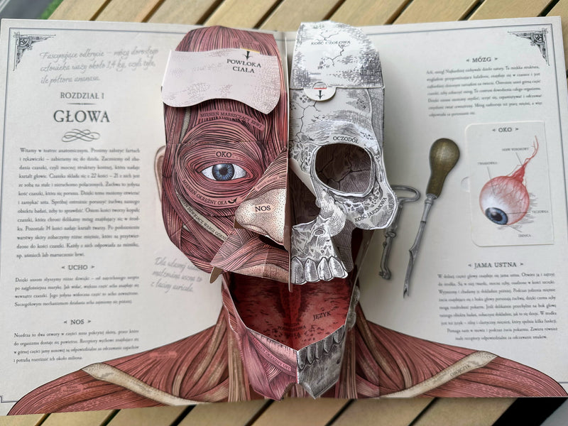 Ciało człowieka: przewodnik pop-up po anatomii - Richard Walker