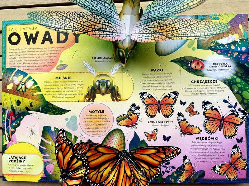Owady i pajęczaki: przewodnik pop-up - Ben Hoare