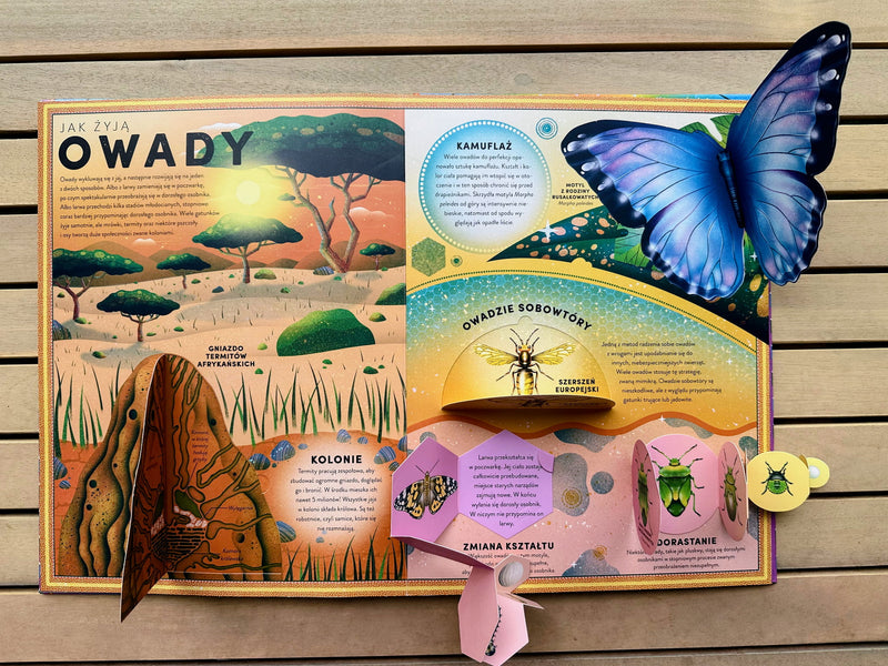 Owady i pajęczaki: przewodnik pop-up - Ben Hoare