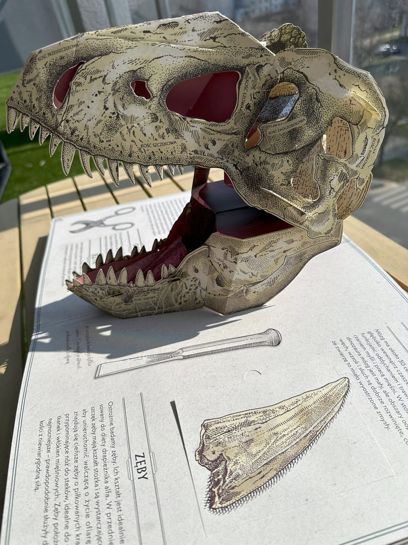 Tyranozaur. Przewodnik pop-up po anatomii