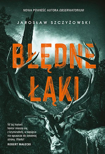 Błędne łąki - Jarosław Szczyżowski