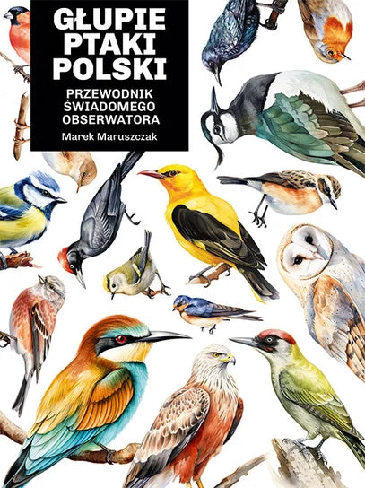 Głupie ptaki Polski. Przewodnik świadomego obserwatora - Marek Maruszczak