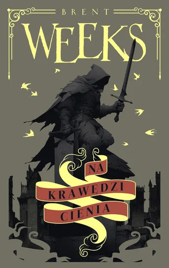 Na krawędzi cienia. Anioł nocy. Tom 2 - Brent Weeks