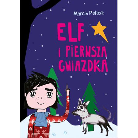 Elf i pierwsza gwiazdka - Marcin Pałasz (książka na zamówienie)