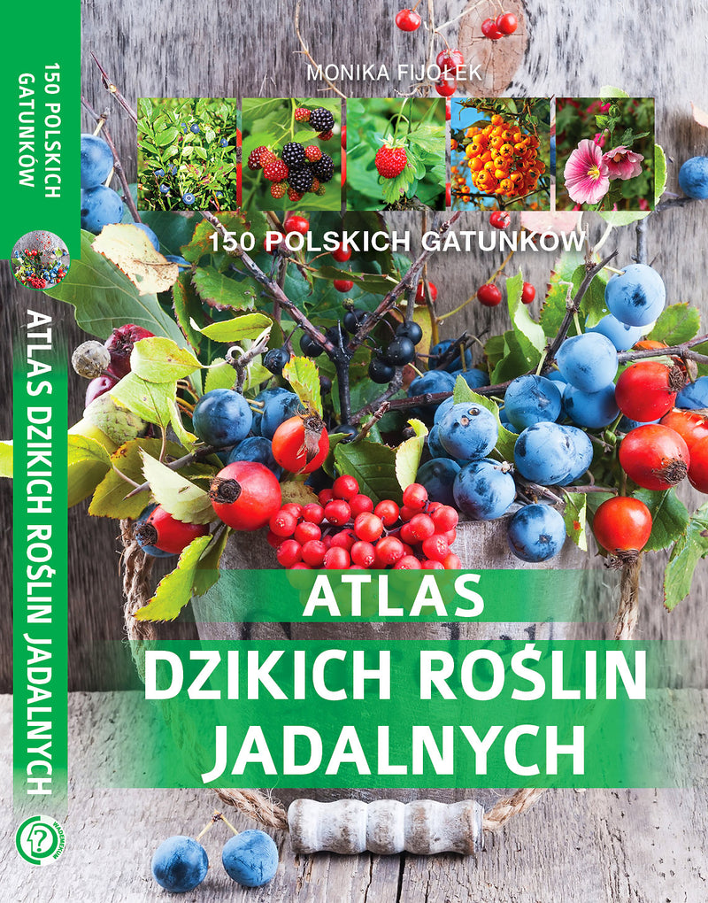 Atlas dzikich roślin jadalnych - Monika Fijołek (książka na zamówienie)