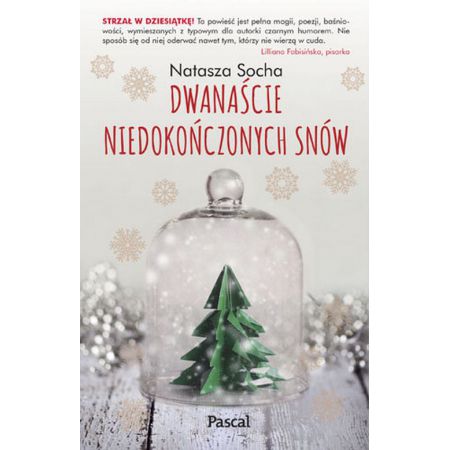 Dwanaście niedokończonych snów - Natasza Socha (okładka miękka)