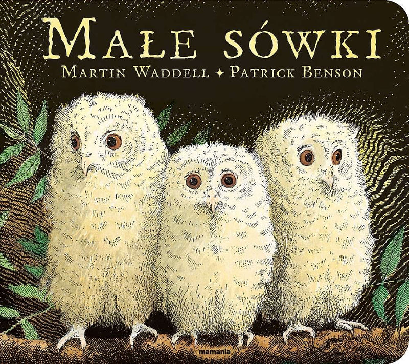 Małe sówki - Waddell Martin