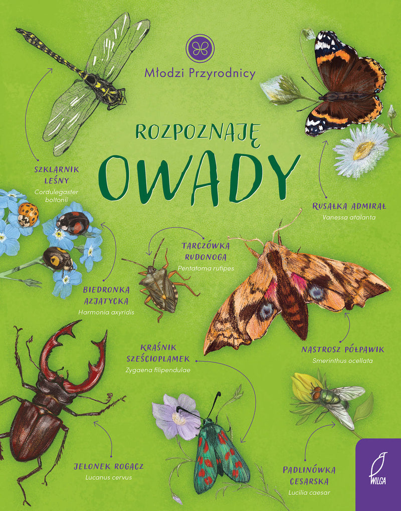 Rozpoznaję owady. Młodzi przyrodnicy - Zarawska Patrycja